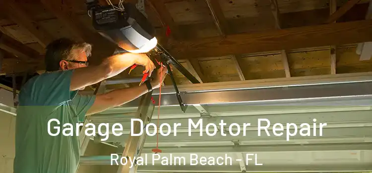 Garage Door Motor Repair Royal Palm Beach - FL