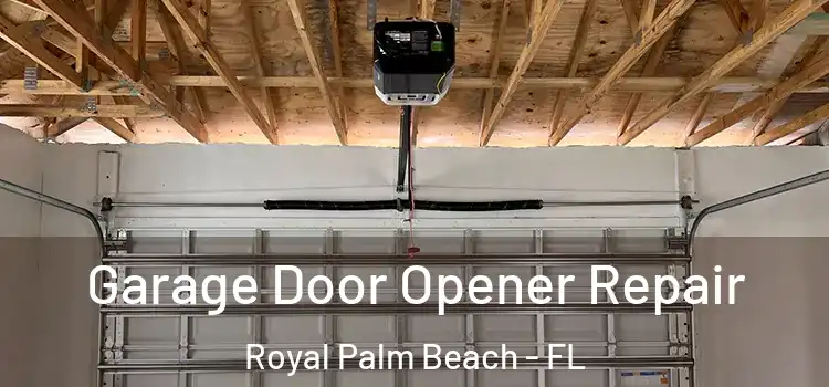  Garage Door Opener Repair Royal Palm Beach - FL