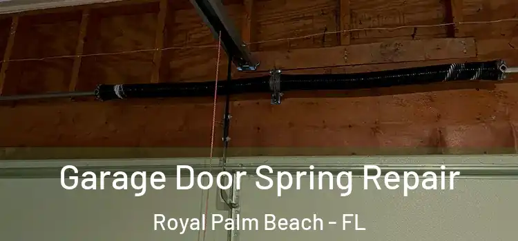  Garage Door Spring Repair Royal Palm Beach - FL