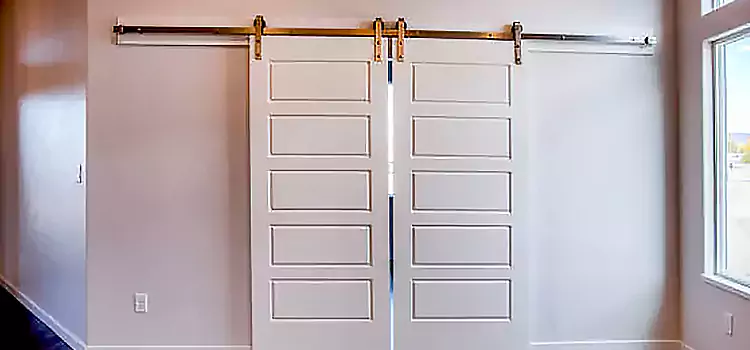 Glass Barn Door with Installation Hardware Kit Royal Palm Beach