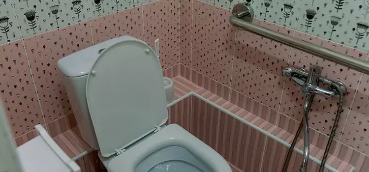 Meeting Diverse Needs With Accessible Restroom Solutions in Royal Palm Beach, FL