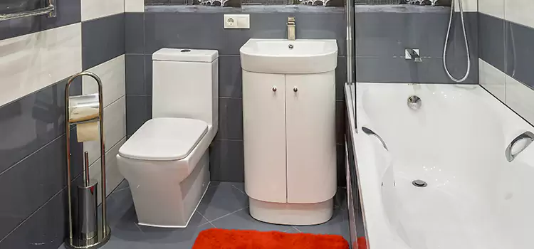 Hansgrohe Shaving Mirror Royal Palm Beach